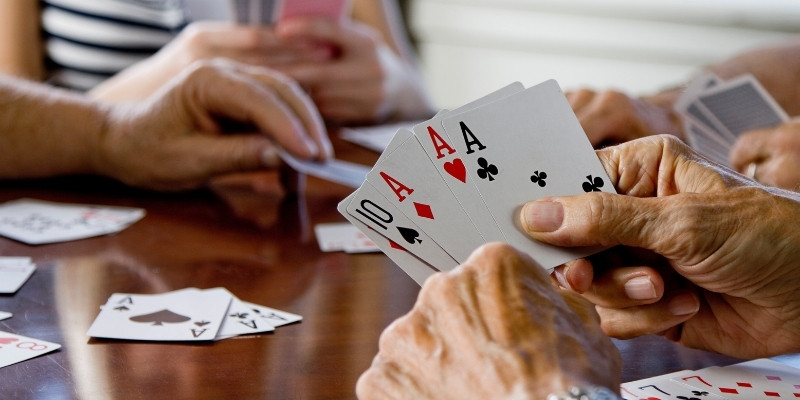 wipwin DB Trực Tuyến