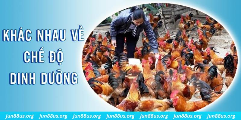 wipwin xổ số miền nam thứ năm hàng tuần