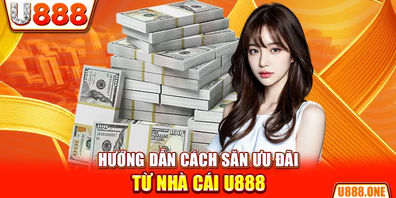 wipwin hòn gà chọi