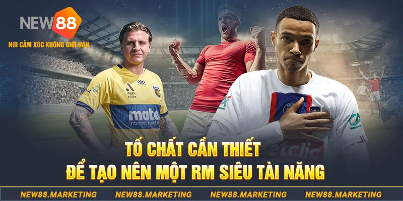 wipwin đá gà thomo