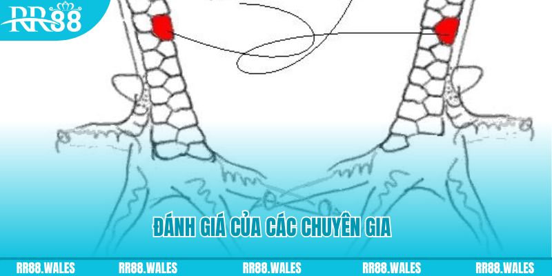 wipwin V8 Game Bài 3d