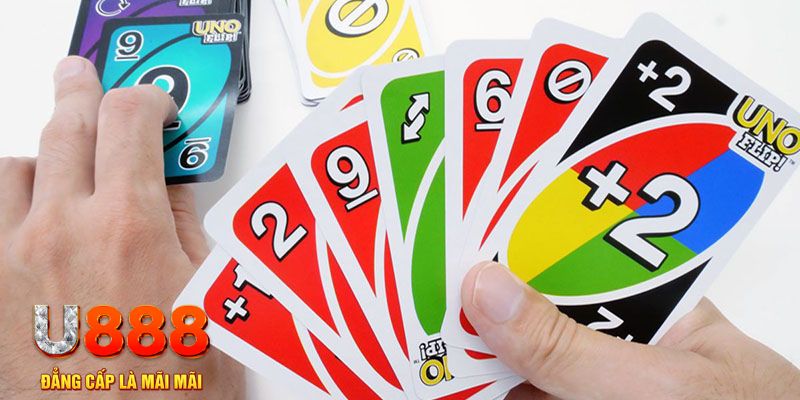 wipwin gà chọi cu cần