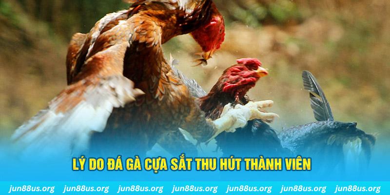 wipwin chiếm slot là gì