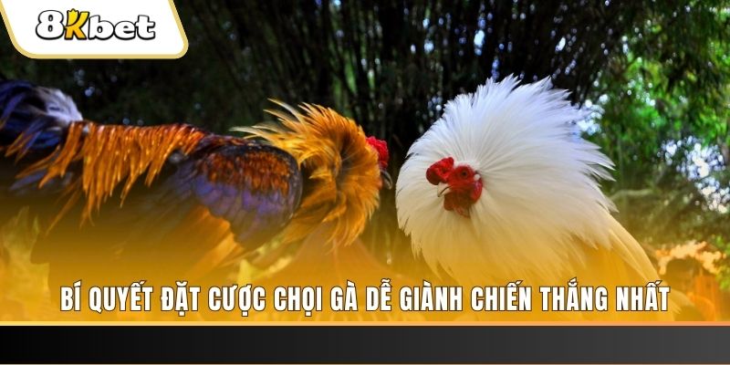 wipwin xổ số thứ hai hàng tuần