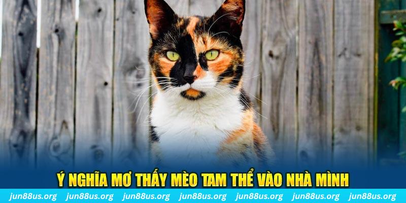 wipwin RTG Bắn cá