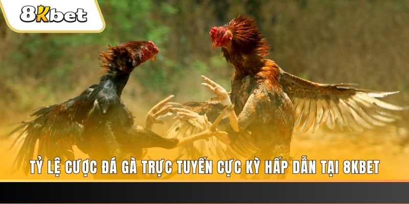 wipwin baccarat online bịp như thế nào