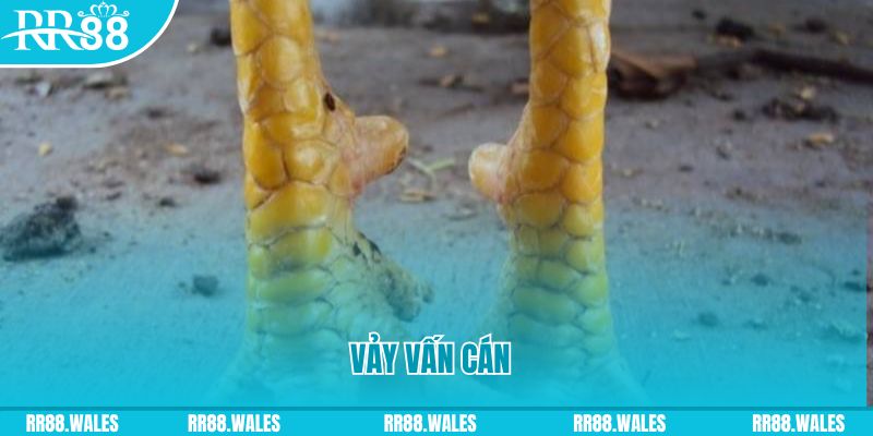 wipwin đăng nhập nổ hũ hôm nay