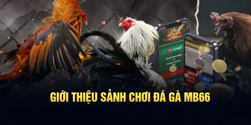 wipwin đăng nhập poker hôm nay