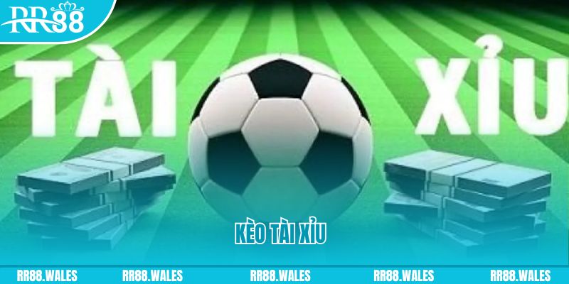 wipwin gà chọi hoà phong